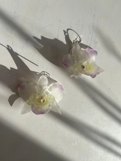 DENDROBIUM ORKIDÉ øredobber - ekte tørkede blomster, sølv - Øredobber KNASK