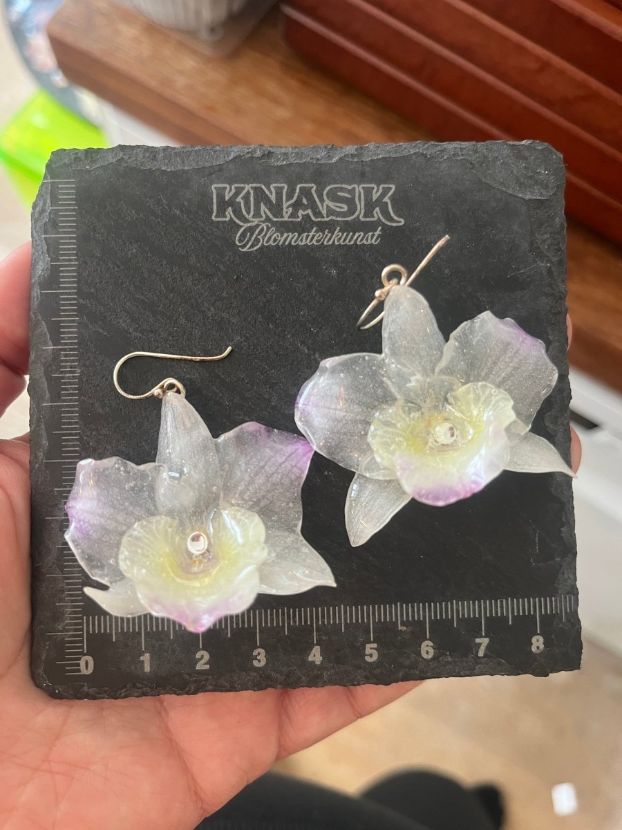 DENDROBIUM ORKIDÉ øredobber - ekte tørkede blomster, sølv - Øredobber KNASK