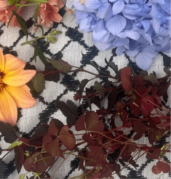 DIABOLO øredobber, ekte tørkede blader, 925 sølv, blærespirea - Øredobber KNASK