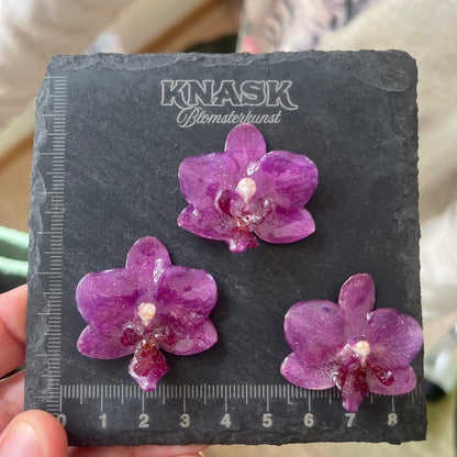 DISCO ORKIDÉ smykke - ekte tørket blomst - Smykke KNASK
