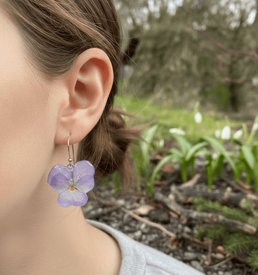 DUS LILLA FIOLER øredobber, ekte stemorsblomst, 925 sølv ørekroker - Øredobber KNASK