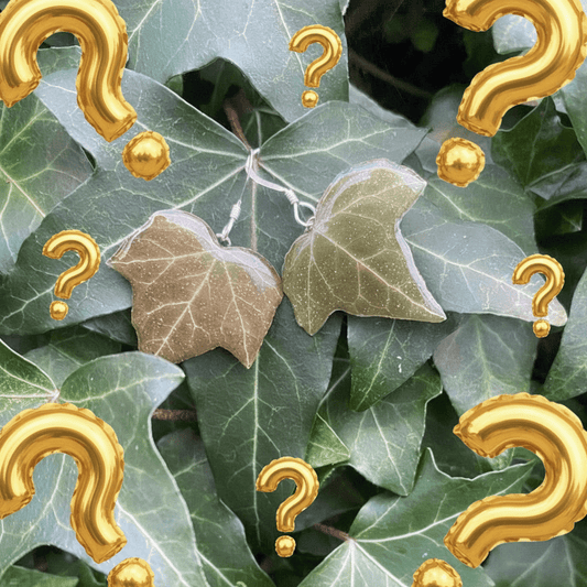 EFØY øredobber, ekte tørkede blader, 925 sølv - Øredobber KNASK