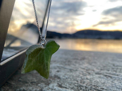 Eføy-smykke, magisk, 925 sølvkjede - KNASK