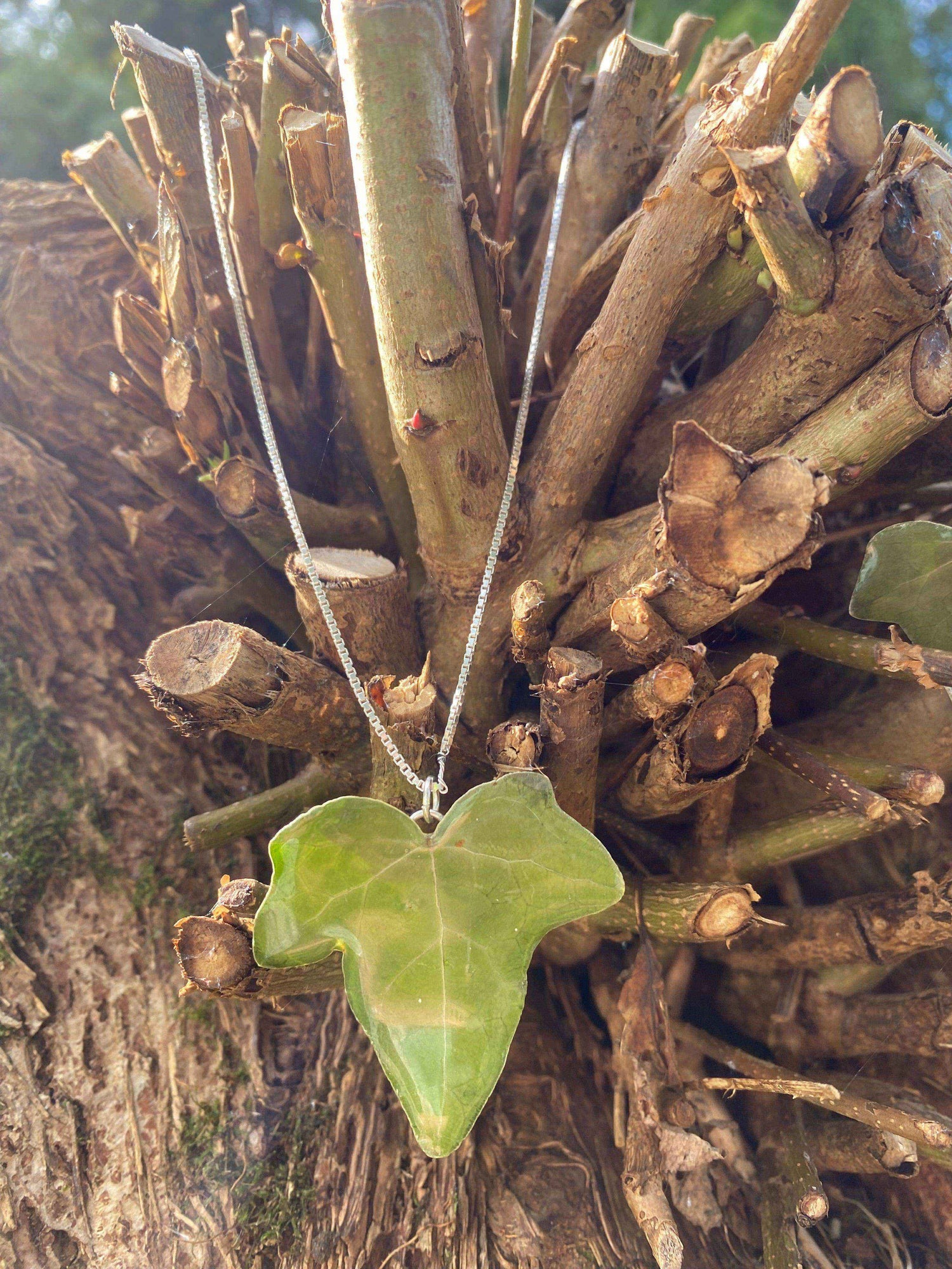 EFØY smykke av ekte tørket blad, overKNASKelse - KNASK