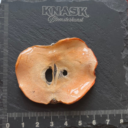 EPLE smykke - ekte tørket frukt - Smykke KNASK