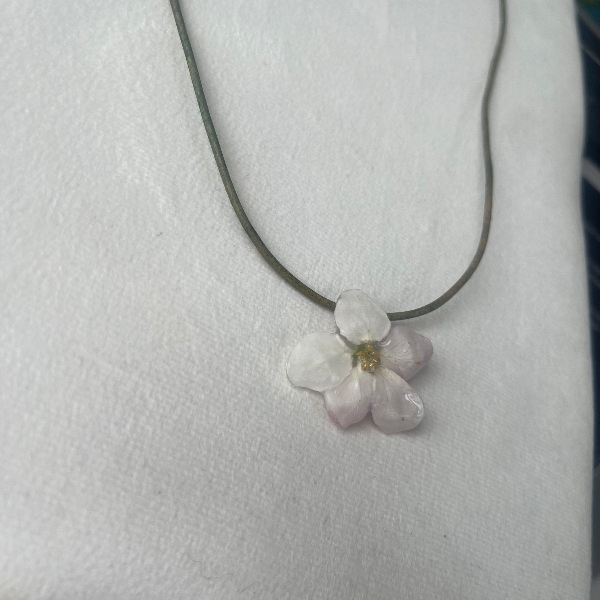 EPLEBLOMST smykke - ekte tørket blomst - Smykke KNASK