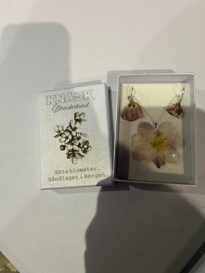 EPLEBLOMST smykke - ekte tørket blomst - Smykke KNASK
