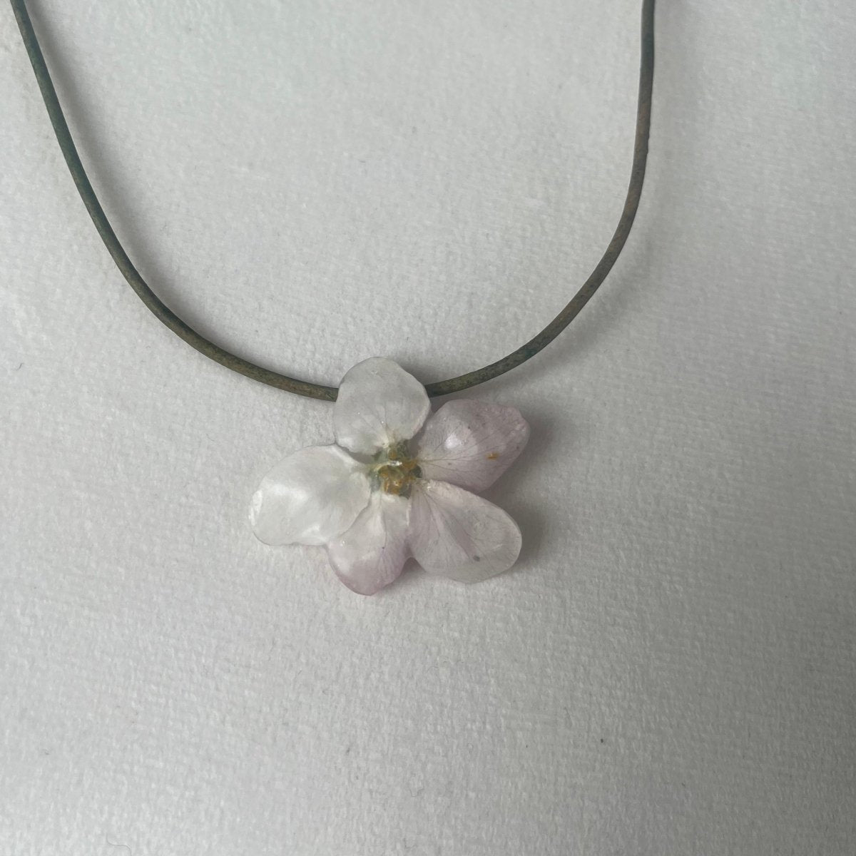 EPLEBLOMST smykke - ekte tørket blomst - Smykke KNASK