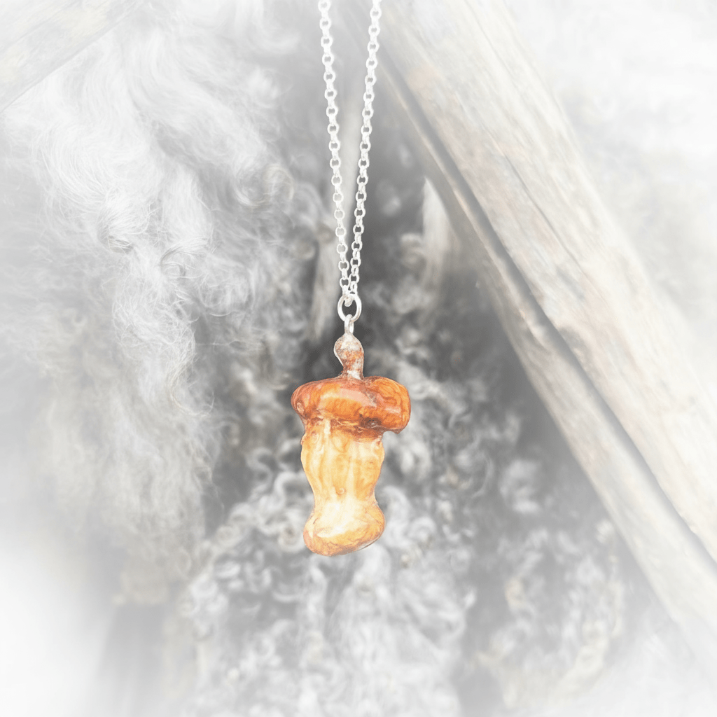 EPLESKROTT fruktsmykke, ekte tørket blomst, 925 sølvkjede - Smykke KNASK