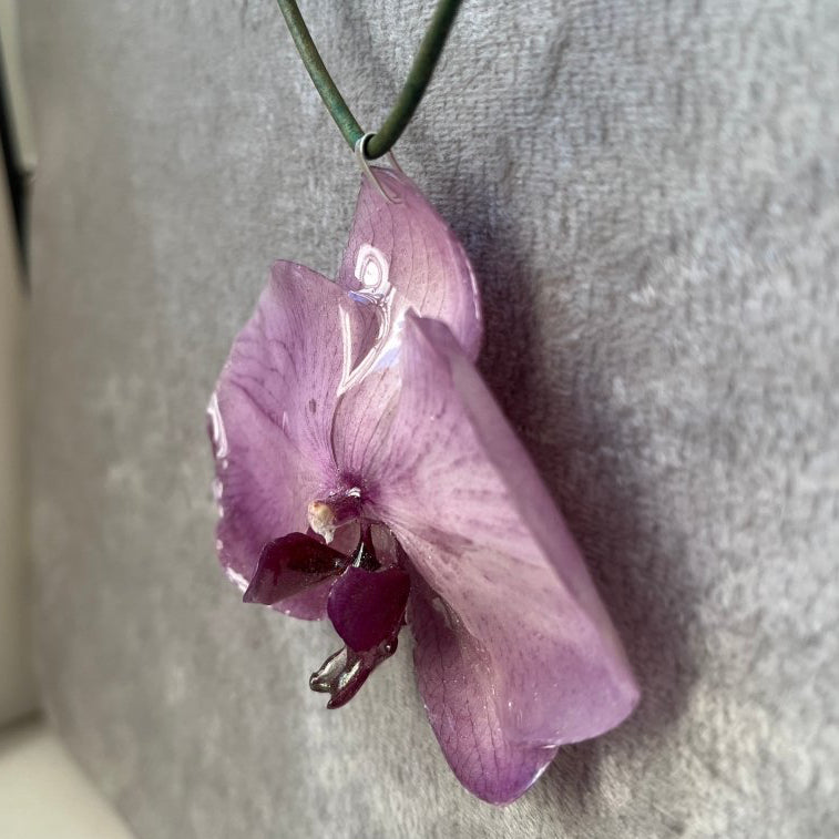 EROTISK ORKIDÉ - ekte tørket blomst, sølv - KNASK