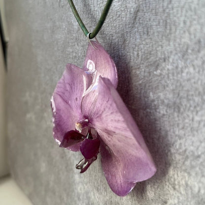 EROTISK ORKIDÉ - ekte tørket blomst, sølv - KNASK