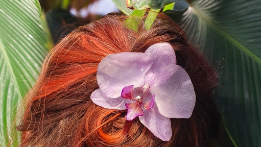 EROTISK ORKIDÉ - ekte tørket blomst, sølv - KNASK