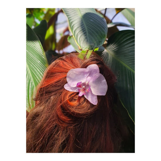 EROTISK ORKIDÉ - ekte tørket blomst, sølv - KNASK