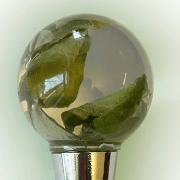 EUCALYPTUS vinstopper, ekte tørket plante - Interiør KNASK