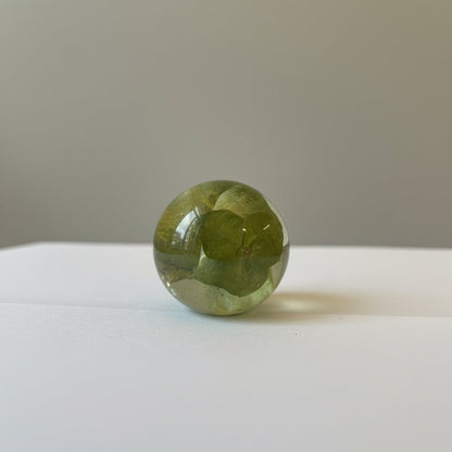 EUCALYPTUS vinstopper, ekte tørket plante - Interiør KNASK