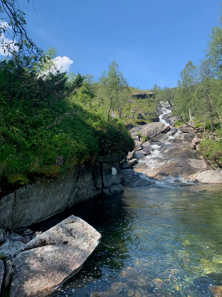 Fjellfell pop - up - Gavekort KNASK