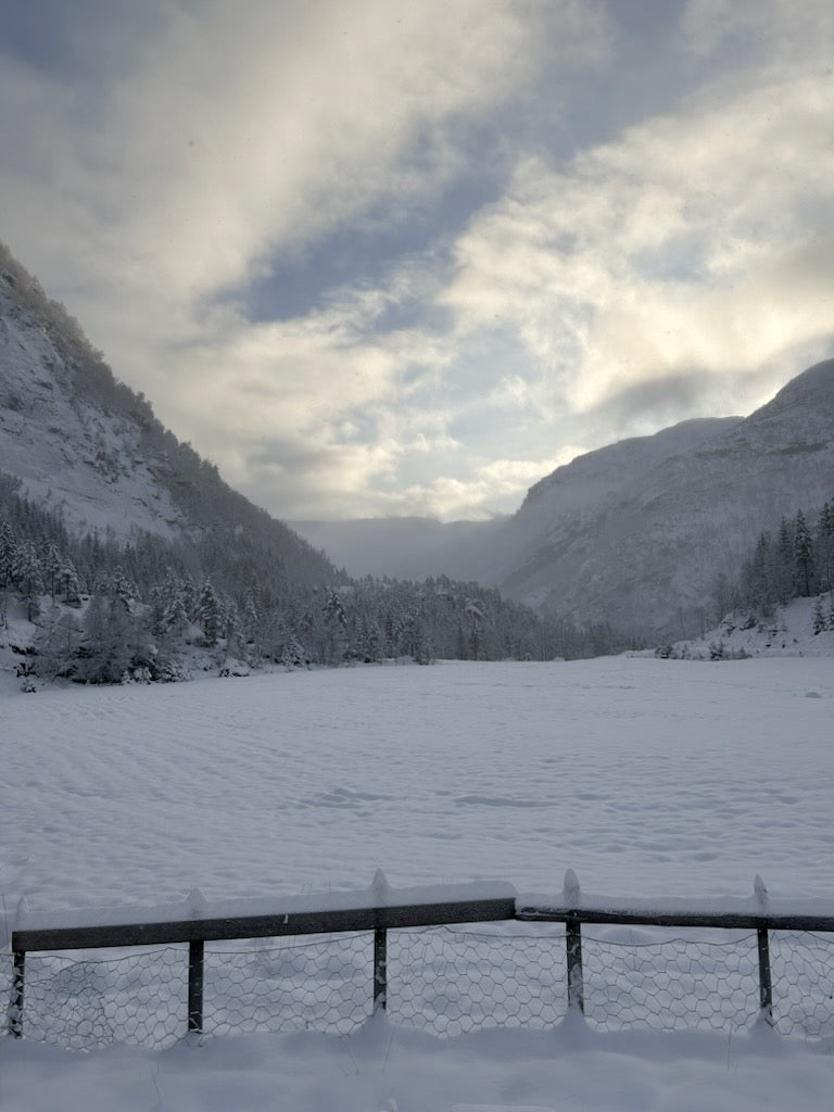 Fjellfell pop - up - Gavekort KNASK