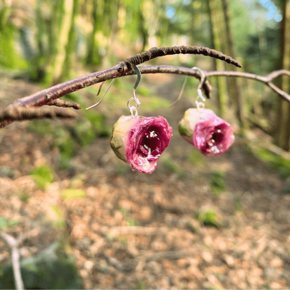 Fjellfell pop - up - Gavekort KNASK