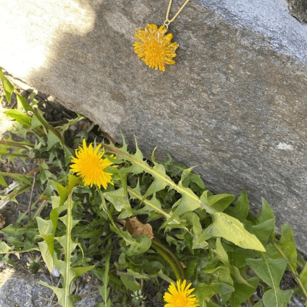 Fjellfell pop - up - Gavekort KNASK