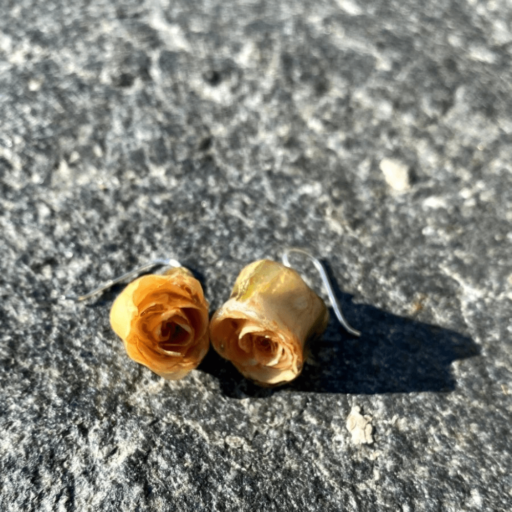 Fjellfell pop - up - Gavekort KNASK