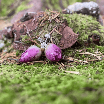 Fjellfell pop - up - Gavekort KNASK