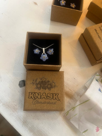 FORGLEMMEGEI gavesett - ekte tørkede blomster, sølv - Gavesett KNASK