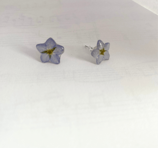 FORGLEMMEGEI MINI øredobber, ekte tørkede blomster - Øredobber KNASK