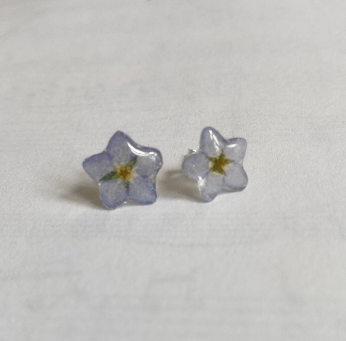 FORGLEMMEGEI MINI øredobber, ekte tørkede blomster - Øredobber KNASK