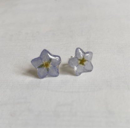 FORGLEMMEGEI MINI øredobber, ekte tørkede blomster - Øredobber KNASK