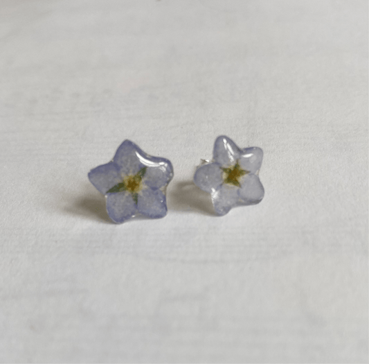 FORGLEMMEGEI MINI øredobber, ekte tørkede blomster - Øredobber KNASK