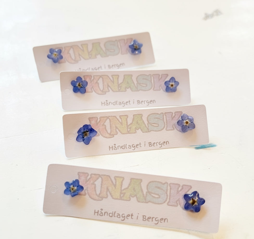 FORGLEMMEGEI øredobber, ekte tørkede blomster, 925 sølv - Øredobber KNASK