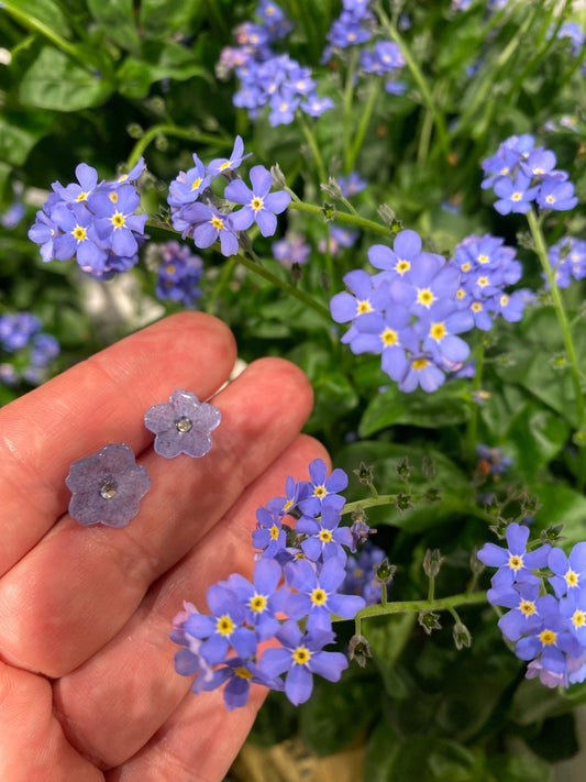FORGLEMMEGEI øredobber, ekte tørkede blomster - Øredobber KNASK