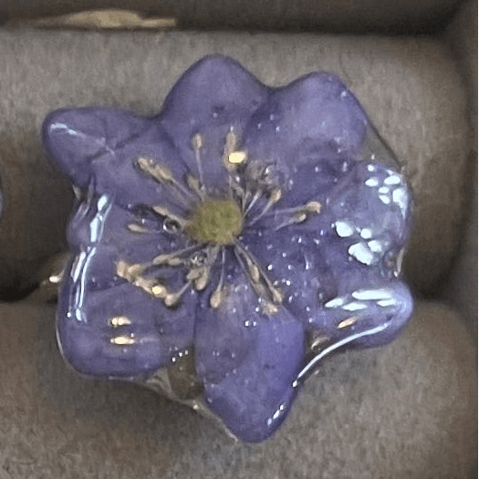 FORGLEMMEGEI ring - ekte tørket blomst - Ringer KNASK