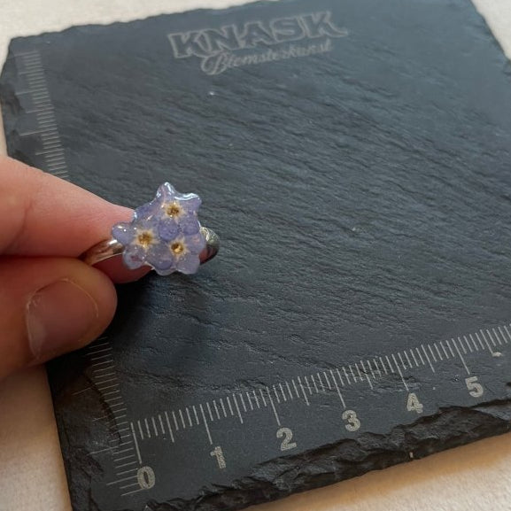 FORGLEMMEGEI ring - ekte tørket blomst - Ringer KNASK