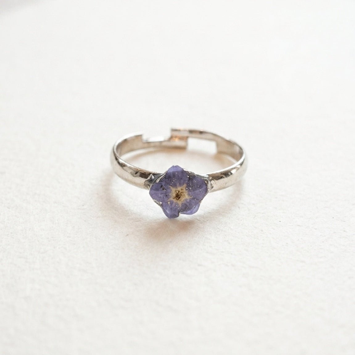 FORGLEMMEGEI ring - ekte tørket blomst - Ringer KNASK