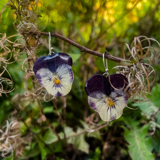 GLAMOUR fiol øredobber, ekte 3D - tørkede blomster Viola tricolor, 925 sølv - Øredobber KNASK