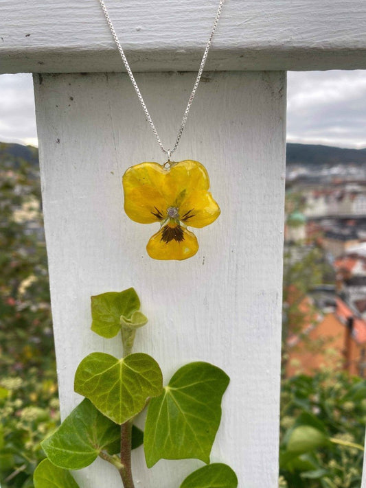 Gul fiol-smykke, ekte stemorsblomst, 925 sølvkjede - KNASK