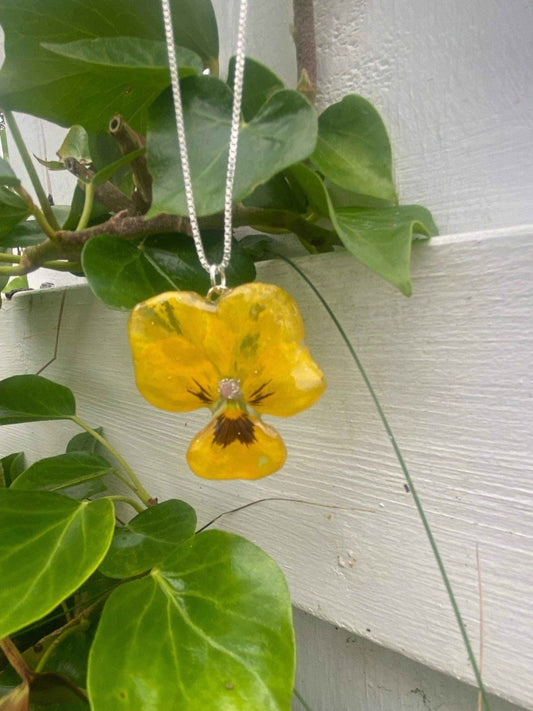 Gul fiol-smykke, ekte stemorsblomst, 925 sølvkjede - KNASK