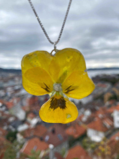Gul fiol-smykke, ekte stemorsblomst, 925 sølvkjede - KNASK