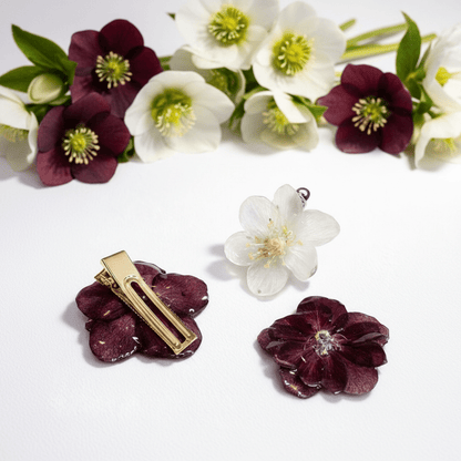 HELLEBORUS hårspenne - ekte tørket blomst, krokodilleklemme - Hårpynt KNASK