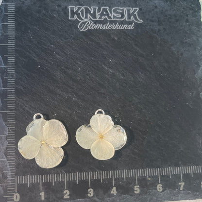HORTENSIA øredobber - ekte tørkede blomster - Øredobber KNASK