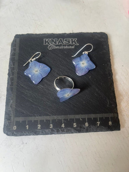 HORTENSIA ring - ekte tørket blomst, justerbar - Ringer KNASK