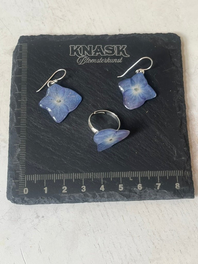 HORTENSIA ring - ekte tørket blomst, justerbar - Ringer KNASK