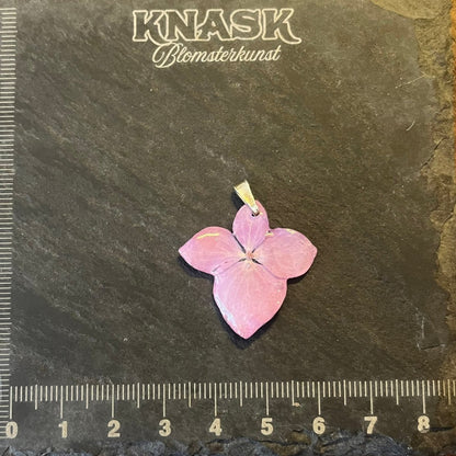 HORTENSIA smykke - ekte tørket blomst - Smykke KNASK