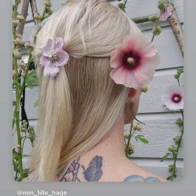 HØSTANEMONE hårspenne, ekte tørket blomst, krokodilleklemme - KNASK