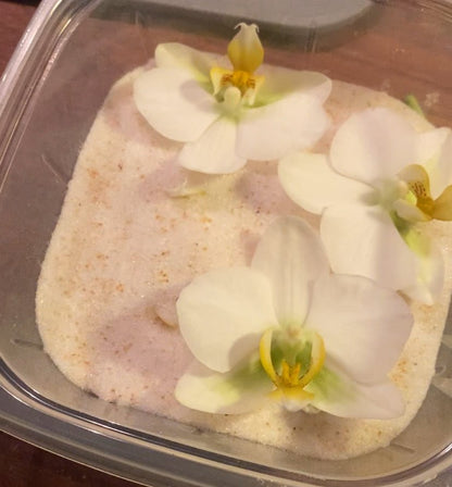 HVIT ORKIDÉ hårnål, ekte tørket blomst, åpen - KNASK