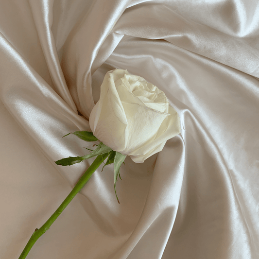 HVIT ROSE vinstopper, ekte tørkede blomster - Interiør KNASK