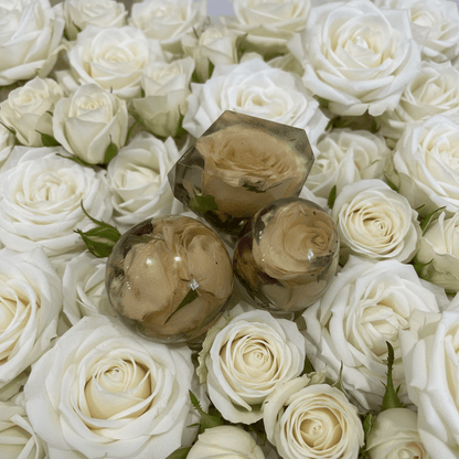 HVIT ROSE vinstopper, ekte tørkede blomster - Interiør KNASK