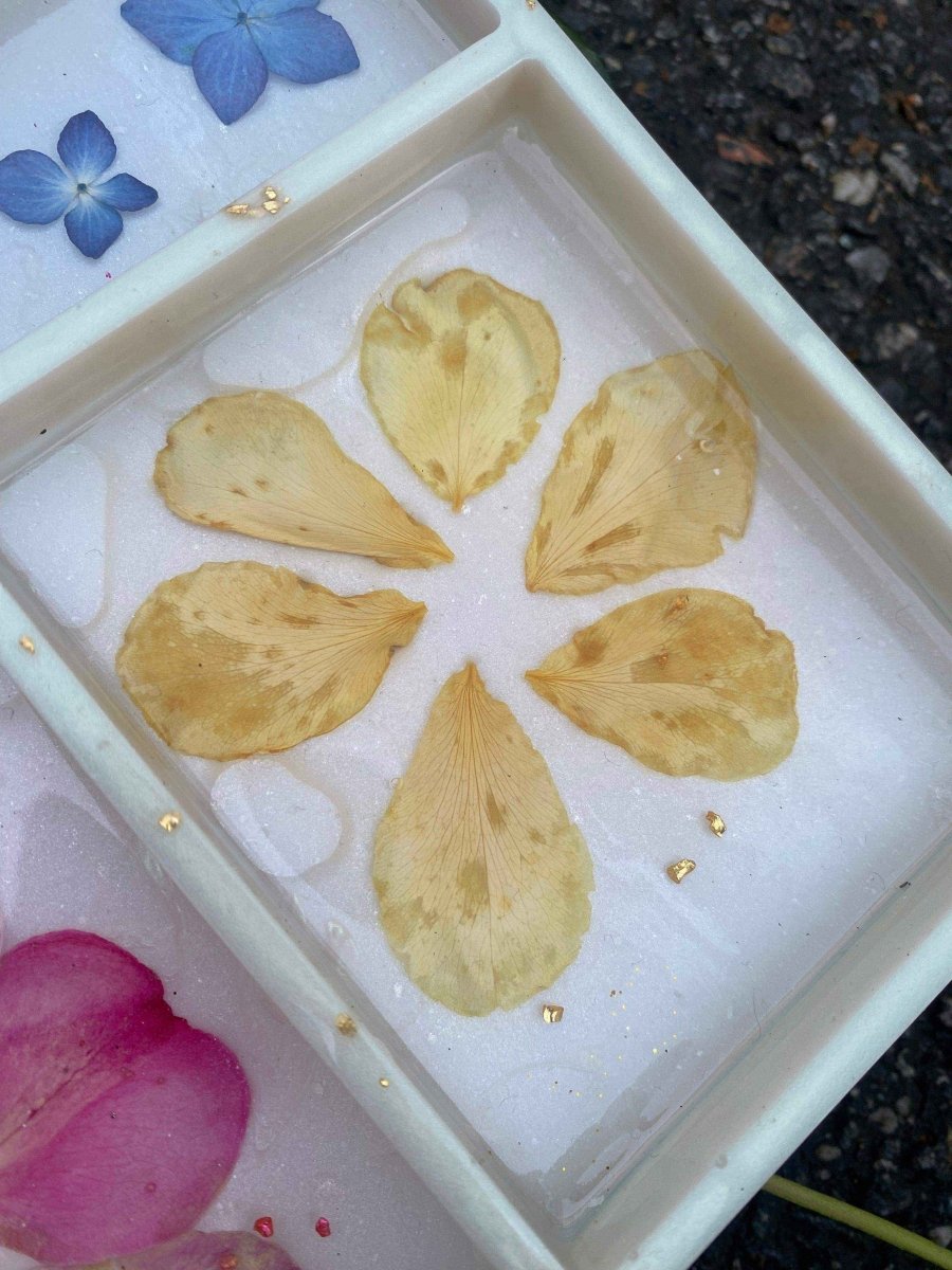 Hvitt blomsterbrett med seksjoner, ekte roser, bregner og hortensia - KNASK