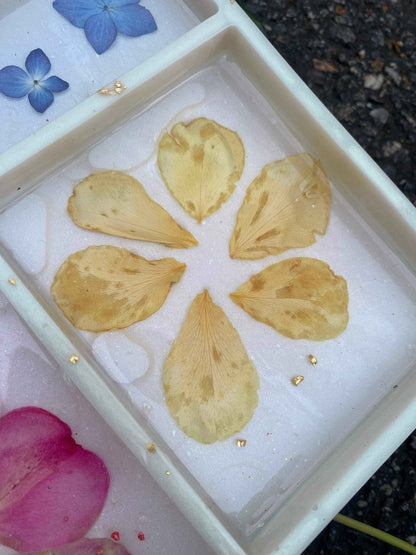 Hvitt blomsterbrett med seksjoner, ekte roser, bregner og hortensia - KNASK